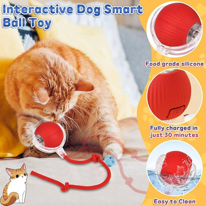 Smart Interactive Pet Rolling Ball – Automatic Toy for Dogs & Cats | Rechargeable & Motion-Activated