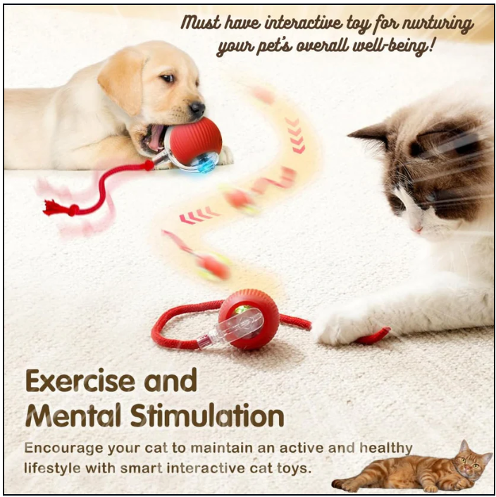 Smart Interactive Pet Rolling Ball – Automatic Toy for Dogs & Cats | Rechargeable & Motion-Activated